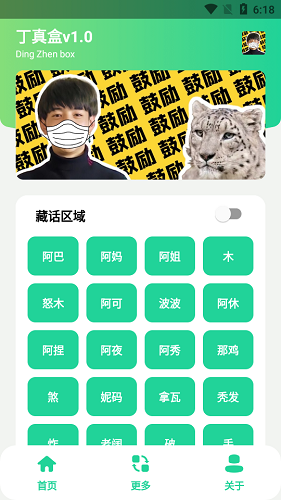 丁真盒 1.0_绿色下载网_斗图搞笑_