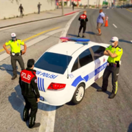 土耳其警察模拟器v0.0.1 安卓版_绿色下载网_安卓游戏_土耳其警察