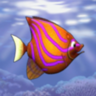 吞食鱼(Feeding Frenzy)v1.7 安卓版_绿色下载网_休闲益智_Feeding Frenzy