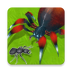 昆虫进化大乱斗v1.4 安卓版_绿色下载网_休闲益智_昆虫进化大乱斗