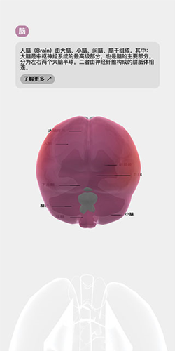 LIFE生命模拟器安卓版v1.0 官方版_绿色下载网_休闲益智_LIFE _6
