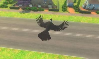 幻想乌鸦飞行游戏下载(Fantasy Crow flying game)v1.01 安卓版_绿色下载网_休闲益智_Fantasy Crow flying game