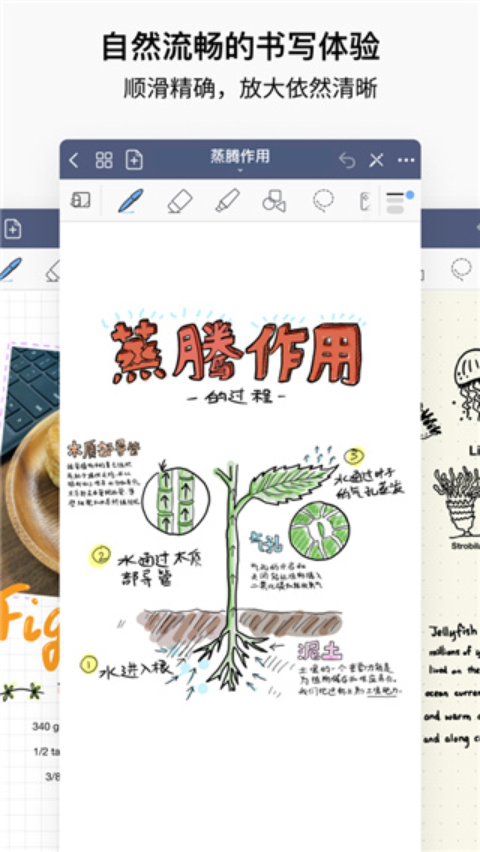 goodnotes 6.3.50_绿色下载网_手机办公_goodnotes