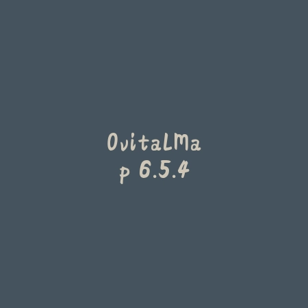 OvitalMap 6.5.4_绿色下载网_地图导航_OvitalMap