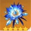 原神 5.76_绿色下载网_苹果游戏_原神 _31