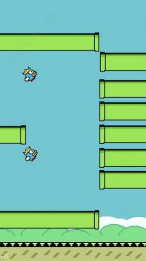 m木糖m笨鸟先飞游戏下载安装(Flappy Bird)v0.1 安卓版_绿色下载网_休闲益智_Flappy Bird