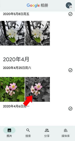 谷歌相册 6.97_绿色下载网_主题美化_谷歌相册 _1