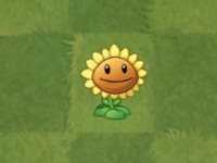 植物大战僵尸手表版(PvZ Watchface)v1.0.5 最新版_绿色下载网_安卓游戏_PvZ Watchface _3