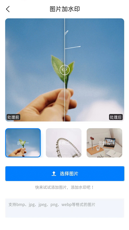 水印云 3.2.0_绿色下载网_主题美化_水印云