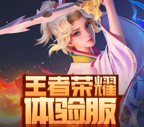 王者荣耀体验服官方下载(王者荣耀前瞻版)v10.31.7.1 安卓最新版_绿色下载网_安卓游戏_王者荣耀前瞻版 _4
