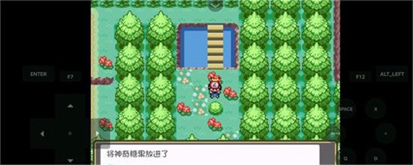 口袋妖怪燃之智3.4汉化版(口袋妖怪燃之智启动器)v1.0 安卓版_绿色下载网_安卓游戏_口袋妖怪燃之智启动器 _15