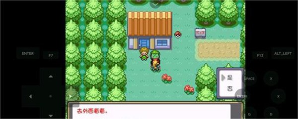 口袋妖怪燃之智3.4汉化版(口袋妖怪燃之智启动器)v1.0 安卓版_绿色下载网_安卓游戏_口袋妖怪燃之智启动器 _11
