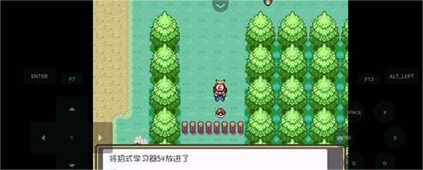 口袋妖怪燃之智3.4汉化版(口袋妖怪燃之智启动器)v1.0 安卓版_绿色下载网_安卓游戏_口袋妖怪燃之智启动器 _13