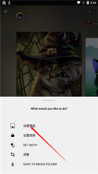 zedge 5.22.1_绿色下载网_主题美化_zedge _3