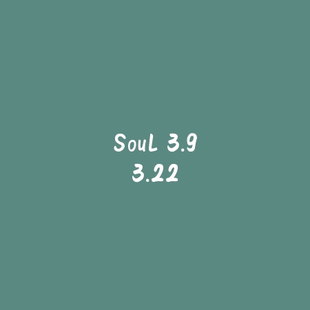 Soul 3.93.22_绿色下载网_聊天交友_Soul