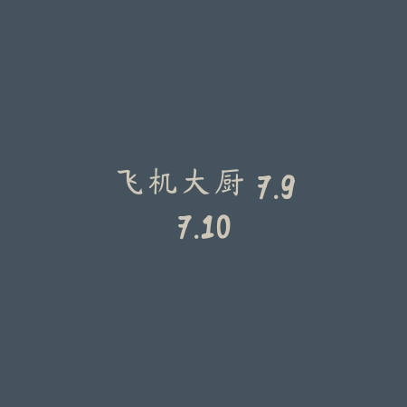 飞机大厨 7.97.10_绿色下载网_模拟经营_飞机大厨