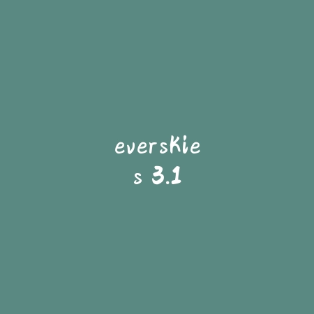 everskies 3.1_绿色下载网_模拟经营_Everskies
